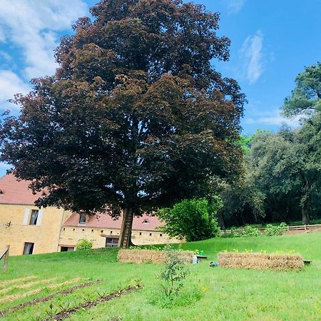L'Ecrin Des Symes Simeyrols Exterior foto