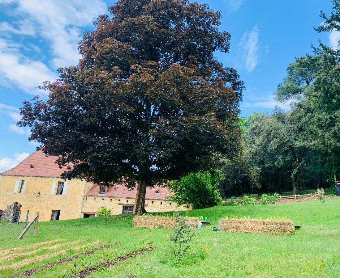 L'Ecrin Des Symes Simeyrols Exterior foto